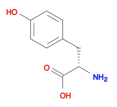 Tyrosine Molecule 3D Structure Generated from SMILES